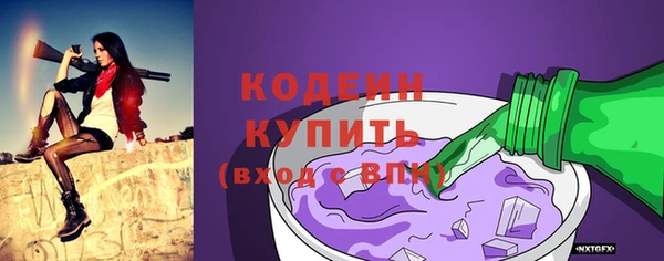 амф Арсеньев