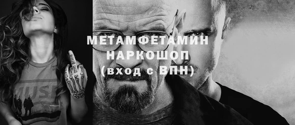 прущие грибы Осинники