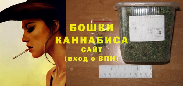 амф Арсеньев
