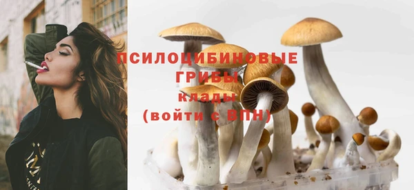 мет Аркадак