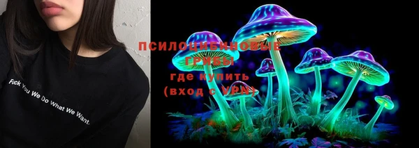 хмурый Армянск