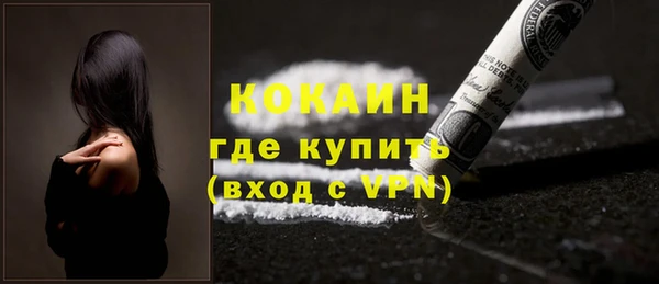 прущие грибы Осинники