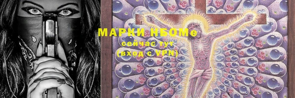 амф Арсеньев
