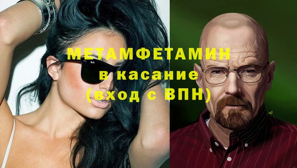 прущие грибы Осинники