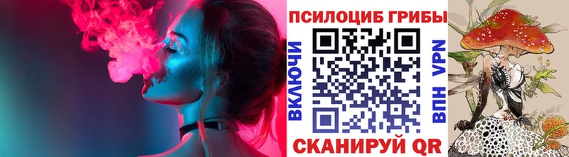 ОМГ ОМГ ONION  Межгорье  Галлюциногенные грибы Psilocybe 